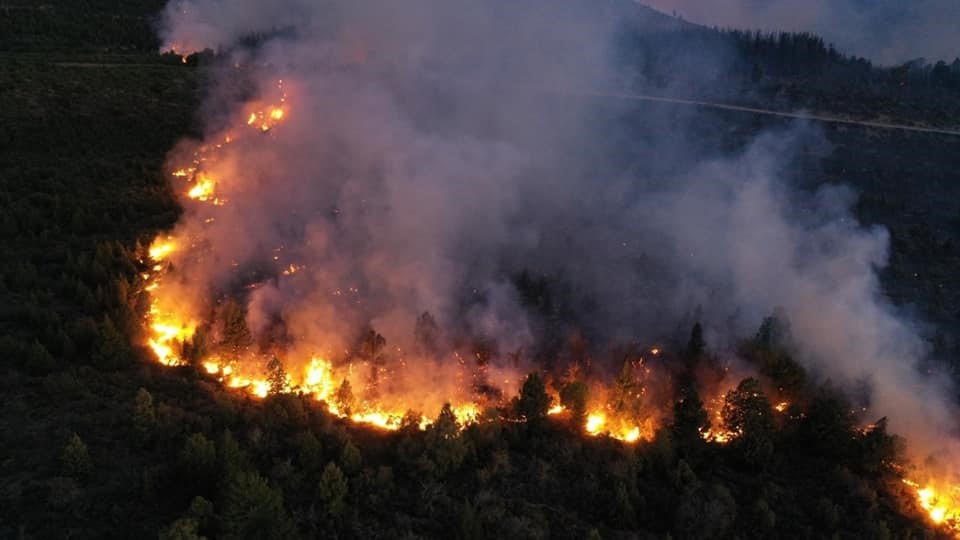 INCENDIO EL BOLSON