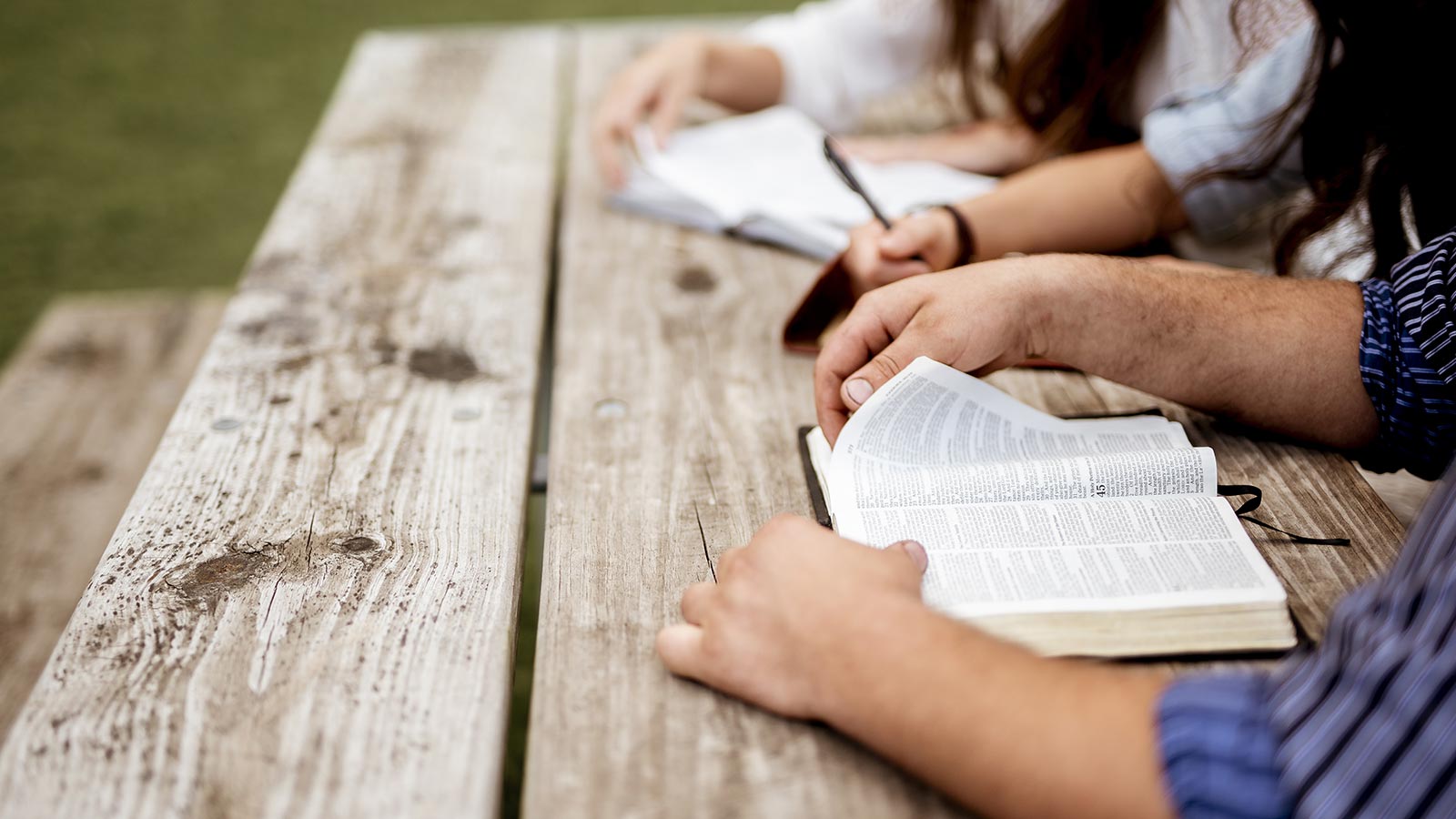 Biblia-joven