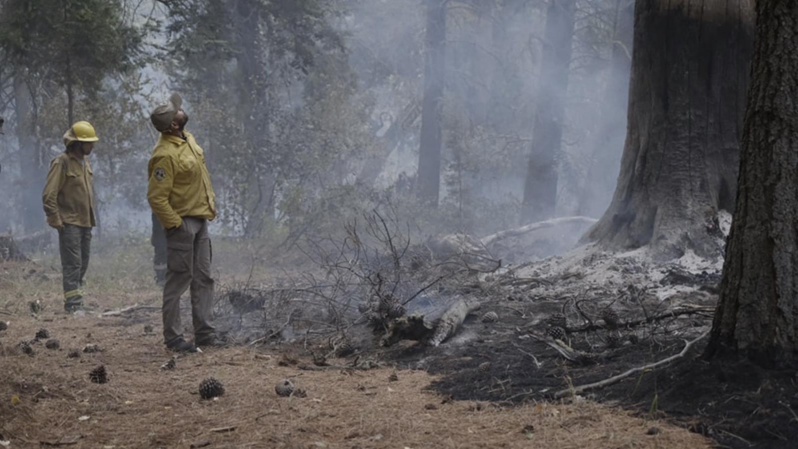 incendios-chubut-comarca-andina