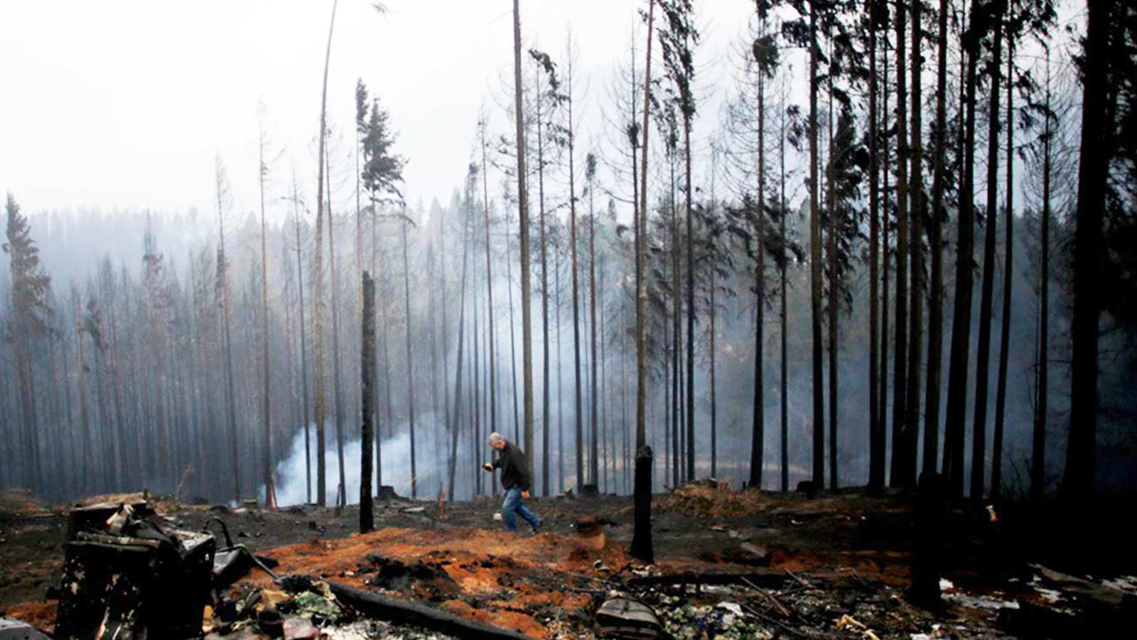 bosques-quemados-21