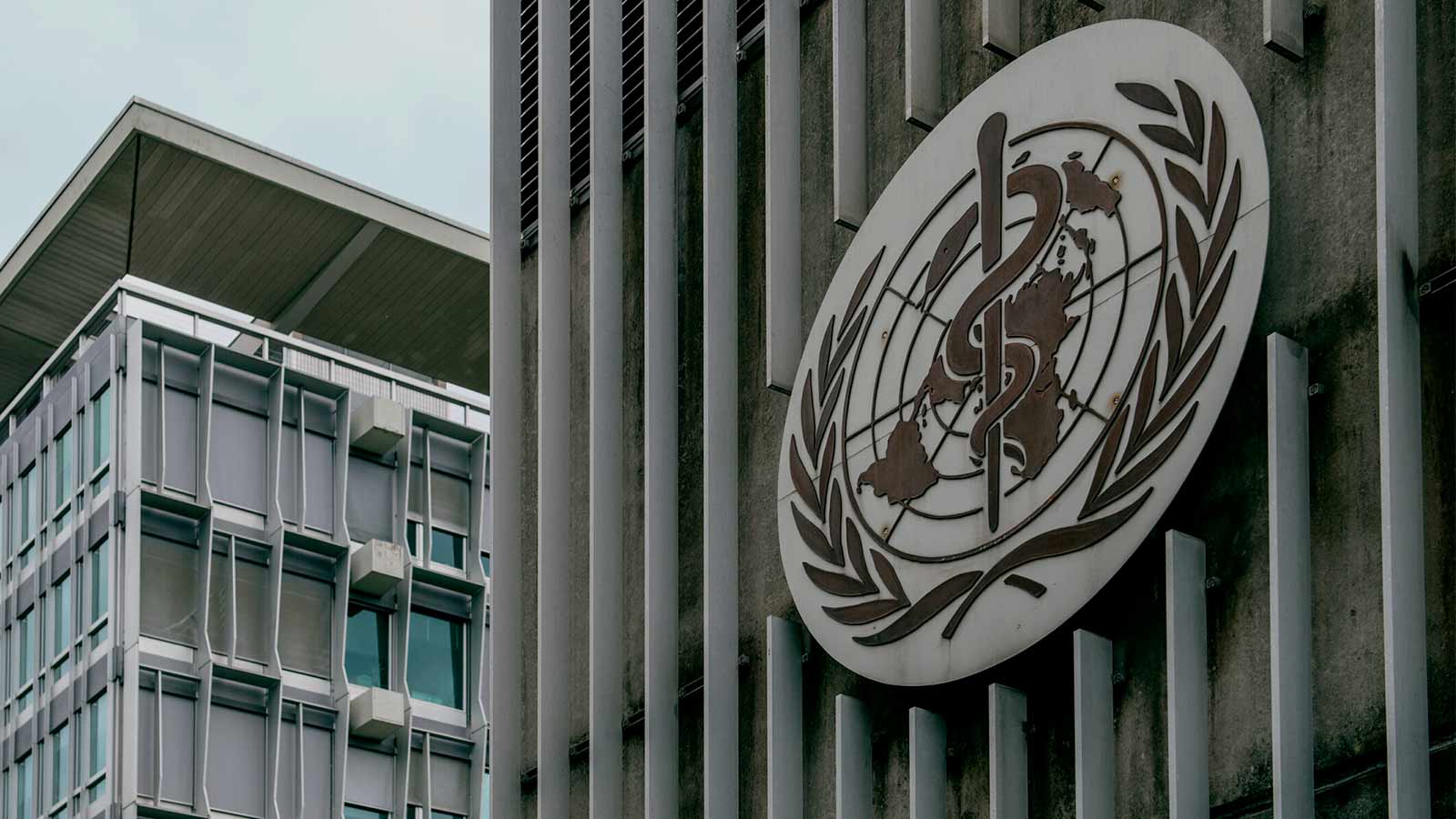 OMS-WHO-solicita despenalizar el aborto