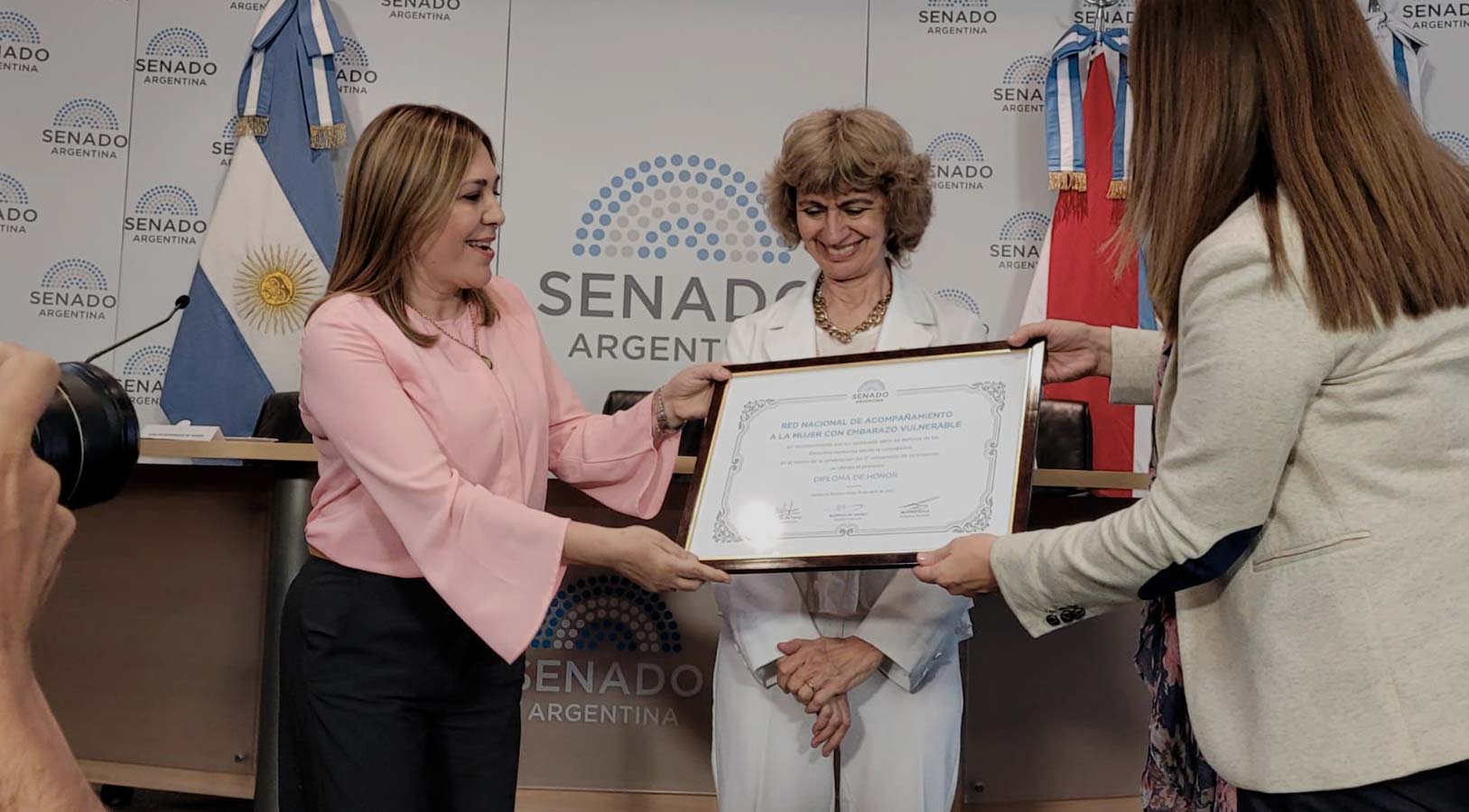 Red Nacional de Acompañamiento a la Mujer con Embarazo Vulnerable