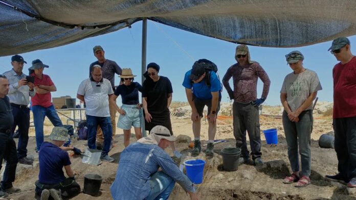 excavación-arqueologica-en-samaria