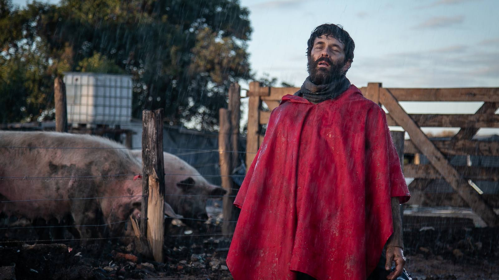 Yo, traidor se estrenará en Star Plus