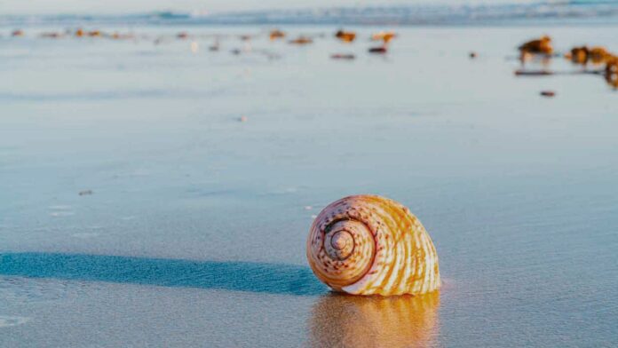 La secuencia fibonacci
