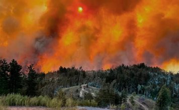 Chile en llamas: Frente a los destrozos del fuego, la Iglesia se moviliza