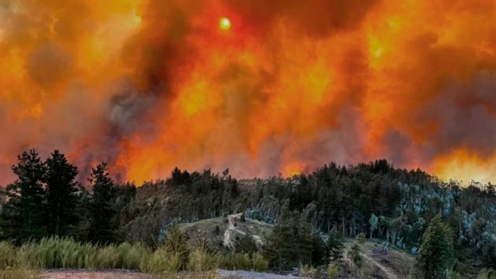 Chile en llamas: Frente a los destrozos del fuego, la Iglesia se moviliza
