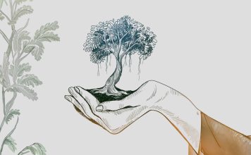 La Mayordomía Cristiana: mucho más que el dinero que-es-mayordomia-cristiana