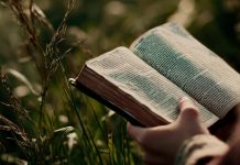 Estudio mundial revela que más de 240 millones de no cristianos desean leer la Biblia