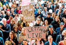 Miles de cristianos se movilizaron en Australia contra el aborto y oraron frente al Parlamento